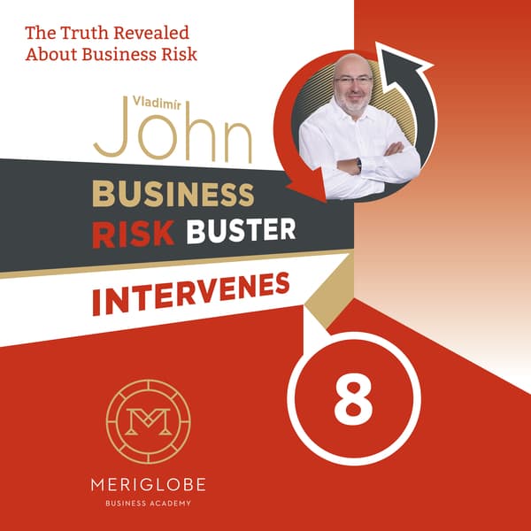 Obálka – Business Risk Buster Intervenes 8