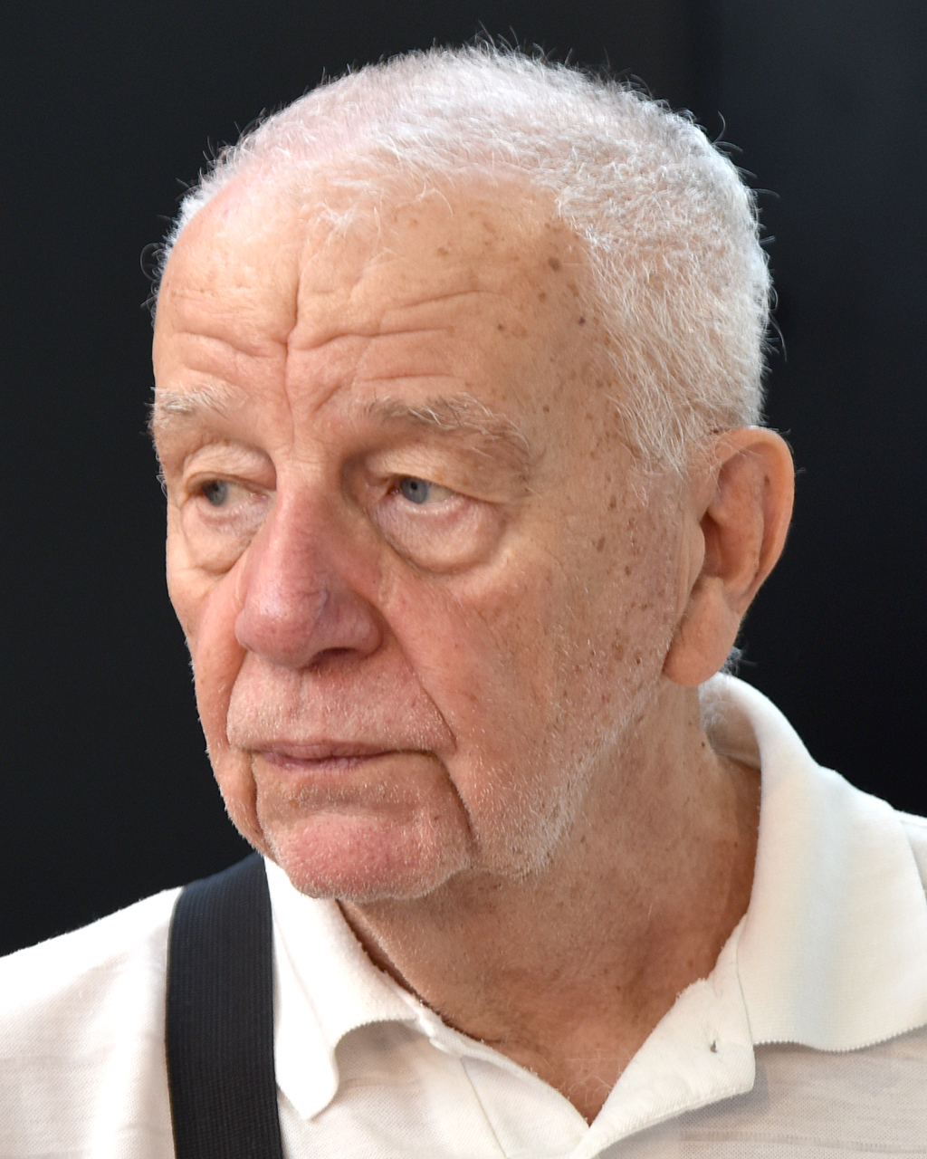 Portrét – František Koukolík