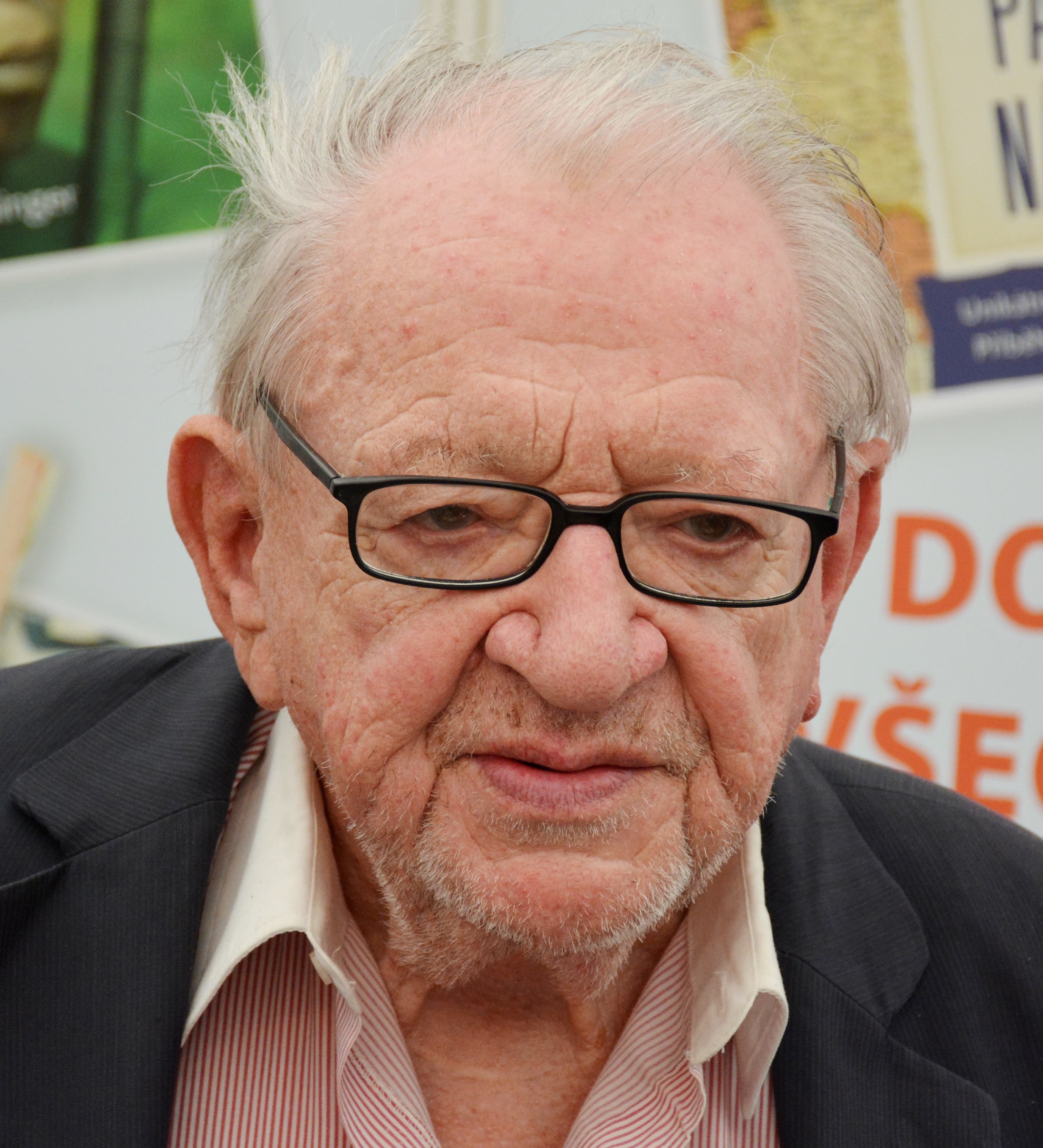 Portrét – Miloslav Stingl