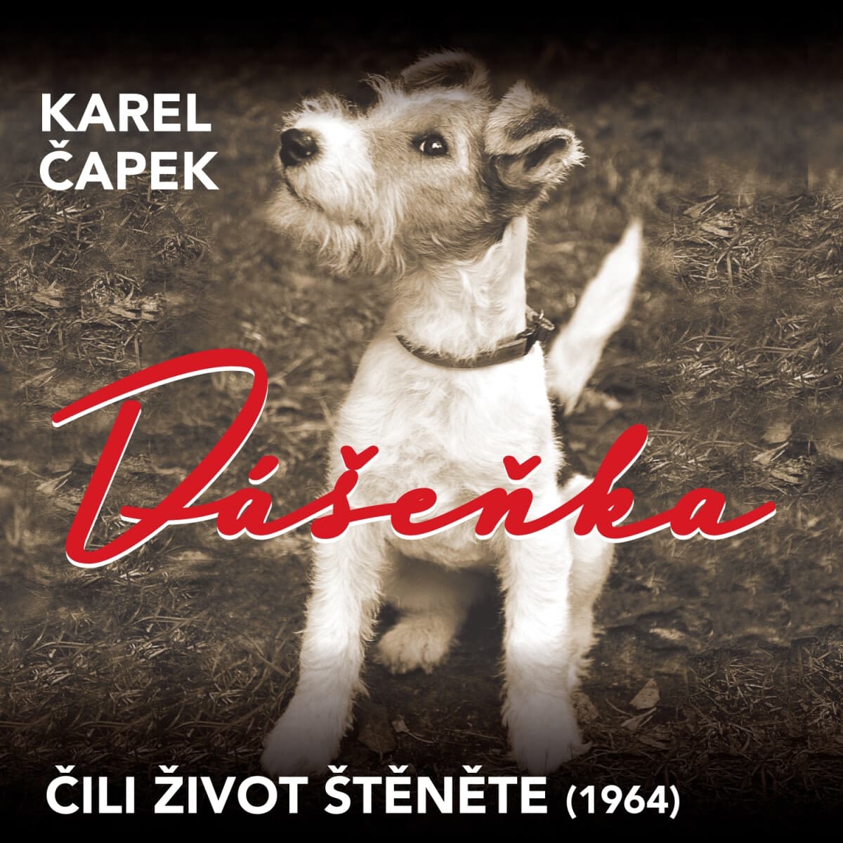 Obálka – Dášeňka čili život štěněte (1964)